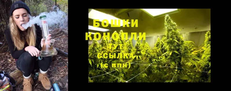 Канабис White Widow  Зуевка 